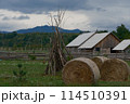 beautiful rural landscape with hay bales in western Ukraine 114510391