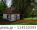 old abandoned house in the forest 114510393