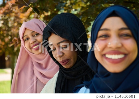 Sisterhood Snapshot: Middle Eastern Muslim Women in Hijab Capturing Unity 114510601