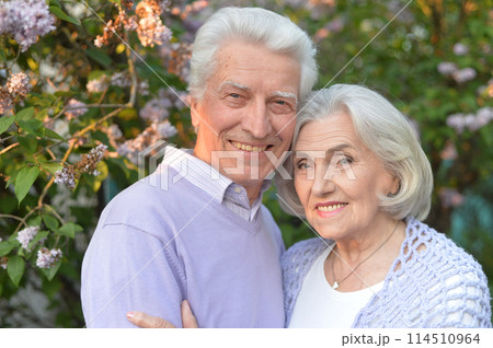 Portrait of beautiful senior couple by lilacs in the park Portrait of beautiful senior couple by lilacs in the park 114510964