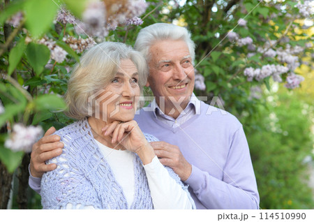 Portrait of beautiful senior couple by lilacs in the park Portrait of beautiful senior couple by lilacs in the park 114510990