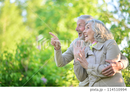 Portrait of a beautiful hugging elderly couple in a summer park 114510994