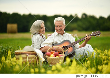 Senior couple with guitar at summer field 114511028