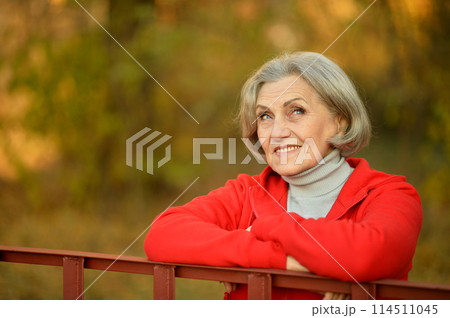 Senior nice woman walking in the park in autumn. 114511045