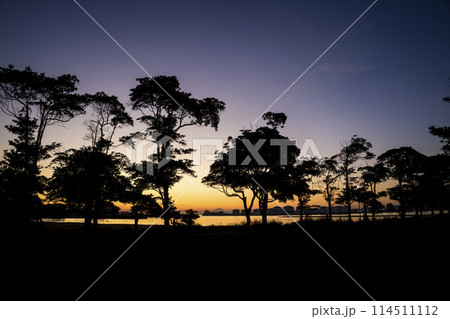 <千葉県>千葉ポートパーク <千葉県>千葉ポートパーク 114511112