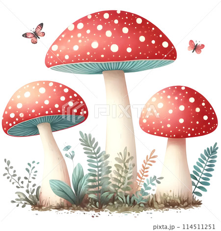 different mushrooms flat vector illustration 114511251