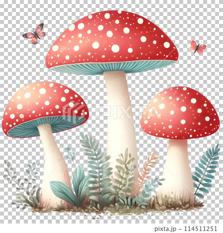 different mushrooms flat vector illustration 114511251