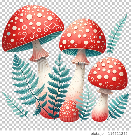 set of different mushrooms 114511253