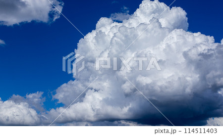 真夏の青空にもくもくとあらわれる積乱雲 真夏の青空にもくもくとあらわれる積乱雲 114511403