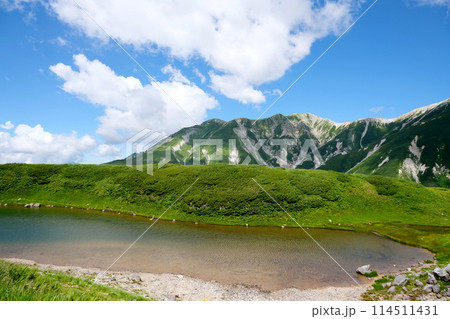 富山県_立山室堂ミドリガ池5_2023年8月 114511431