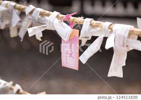 神社(40) 神社(40) 114511830