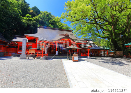 【和歌山県】快晴の熊野那智大社（礼殿） 114511874