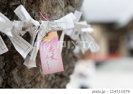 神社（42） 114511879