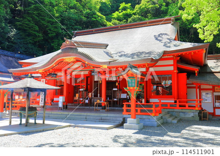 【和歌山県】快晴の熊野那智大社（礼殿） 114511901