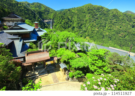 【和歌山県】快晴の那智山青岸渡寺と那智の滝(熊野那智大社) 【和歌山県】快晴の那智山青岸渡寺と那智の滝(熊野那智大社) 114511927