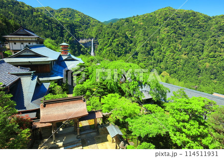 【和歌山県】快晴の那智山青岸渡寺と那智の滝(熊野那智大社) 【和歌山県】快晴の那智山青岸渡寺と那智の滝(熊野那智大社) 114511931