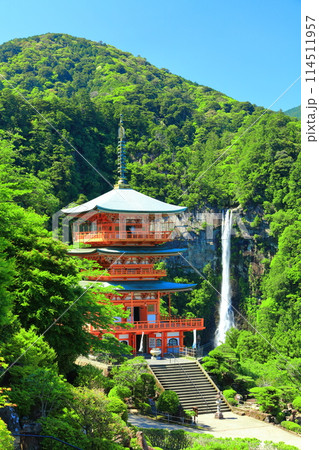 【和歌山県】快晴の青岸渡寺三重塔と那智の滝(熊野那智大社) 【和歌山県】快晴の青岸渡寺三重塔と那智の滝(熊野那智大社) 114511957