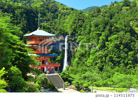 【和歌山県】快晴の青岸渡寺三重塔と那智の滝(熊野那智大社) 【和歌山県】快晴の青岸渡寺三重塔と那智の滝(熊野那智大社) 114511975