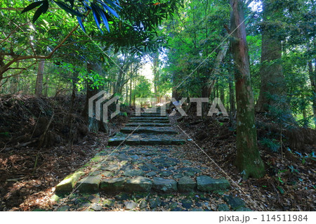 【和歌山県】熊野古道の大門坂 114511984