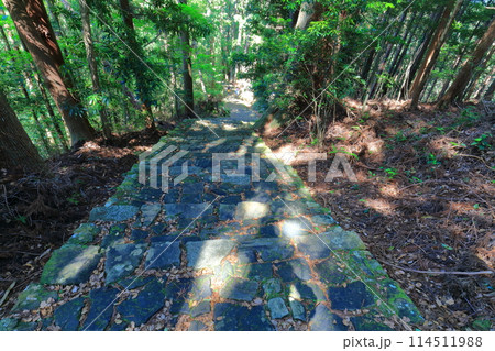 【和歌山県】熊野古道の大門坂 114511988