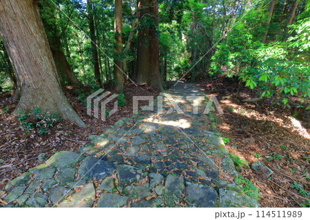 【和歌山県】熊野古道の大門坂 114511989