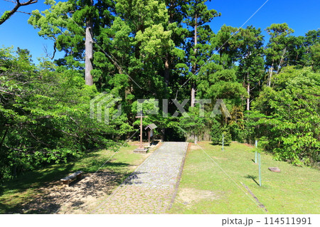 【和歌山県】新緑緑の熊野古道の大門坂 【和歌山県】新緑緑の熊野古道の大門坂 114511991