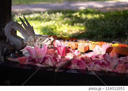 神社(45) 神社(45) 114512051