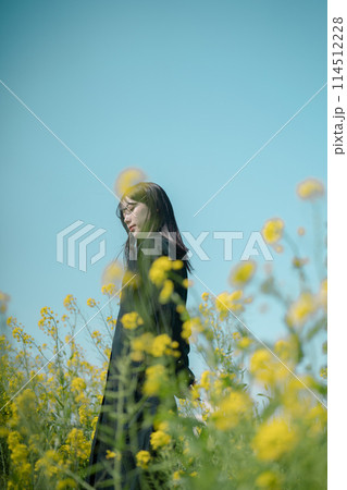 菜の花畑と女性 114512228