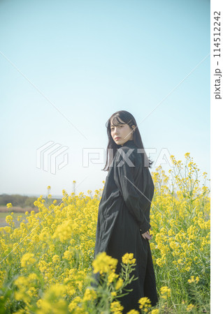 菜の花畑と女性 114512242