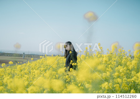 菜の花畑と女性 114512260