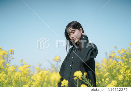 菜の花畑と女性 114512275