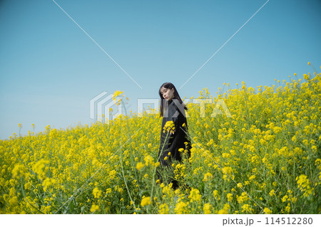 菜の花畑と女性 114512280