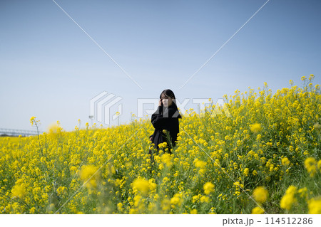 菜の花畑と女性 114512286