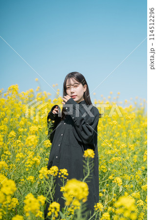 菜の花畑と女性 114512296