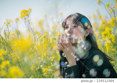 菜の花と女性 菜の花と女性 114512364