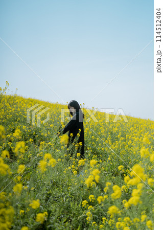 菜の花と女性 114512404