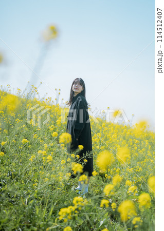 菜の花と女性 114512407