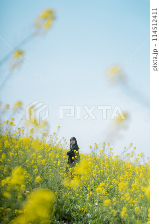 菜の花と女性 114512411