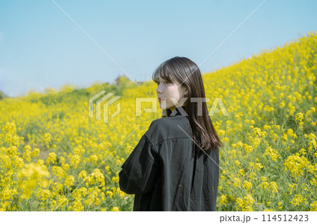 菜の花と女性 114512423