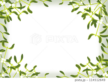 ヤドリギのフレーム 114512649