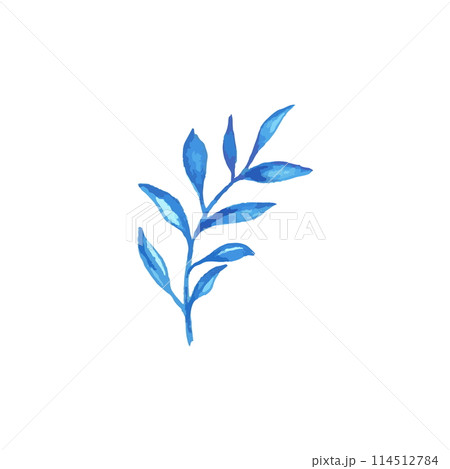 Blue watercolor leves for logo or wedding invitations 114512784