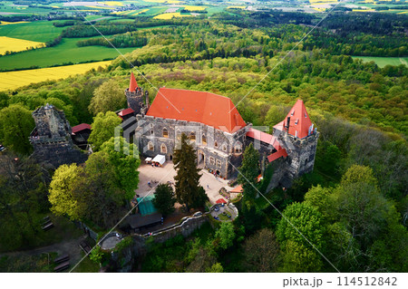Old fortress surrounded by green forest, aerial view. Grodziec Castle, Poland Old fortress surrounded by green forest, aerial view. Grodziec Castle, Poland 114512842