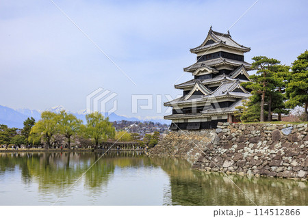 松本城と桜 松本城と桜 114512866