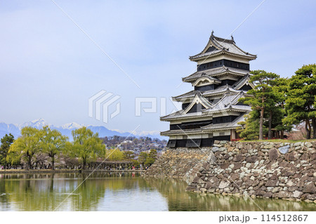 松本城と桜 114512867