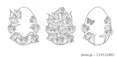 Easter egg set with tulips flower background, hand drawn floral elements for spring holiday. Black and white line art compositions for coloring page. Vector illustrations for card or invitations Easter egg set with tulips flower background, hand drawn floral elements for spring holiday. Black and white line art compositions for coloring page. Vector illustrations for card or invitations 114512903