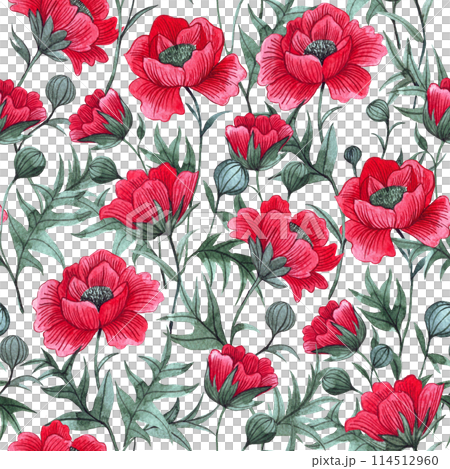 pattern with red poppies on a white background. watercolor seamless print with wildflowers 114512960