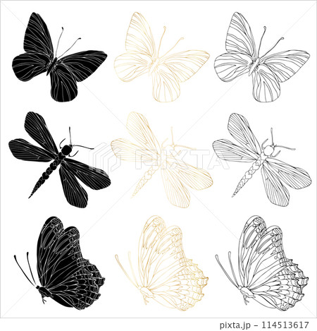 Butterfly black ink line art, silhouette illustrations and gold foil. Insect set for coloring page, tattoo, hand drawn stickers, coloring page. Vector illustration, isolate on white background 114513617