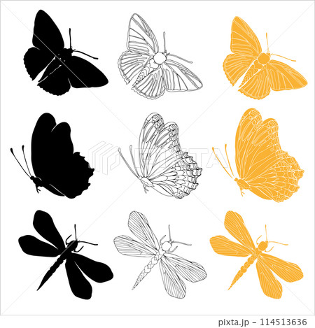 Butterfly black ink line art and detail silhouette illustrations for cutting. Insect set for coloring page, tattoo, hand drawn stickers. Vector illustration, isolate on white background 114513636