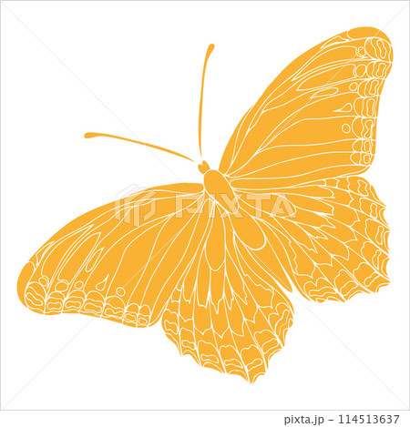 Butterfly yellow silhouette art illustration. Insect butterfly for stickers, tattoo, silhouette, scrapbook. Winged gorgeous animal. Vector hand drawn illustration, isolate on white background Butterfly yellow silhouette art illustration. Insect butterfly for stickers, tattoo, silhouette, scrapbook. Winged gorgeous animal. Vector hand drawn illustration, isolate on white background 114513637
