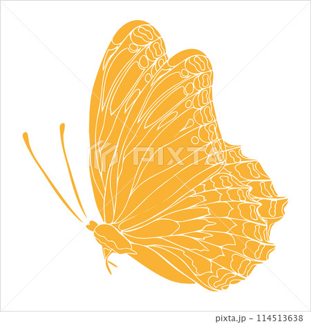 Butterfly yellow silhouette art illustration. Insect butterfly for stickers, tattoo, silhouette, scrapbook. Winged gorgeous animal. Vector hand drawn illustration, isolate on white background Butterfly yellow silhouette art illustration. Insect butterfly for stickers, tattoo, silhouette, scrapbook. Winged gorgeous animal. Vector hand drawn illustration, isolate on white background 114513638